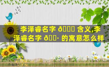 李泽睿名字 🍁 含义,李泽睿名字 🌷 的寓意怎么样